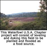 Waterfowl U.S.A. chapter project