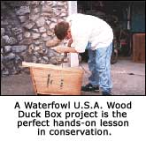 Wood Duck Box project