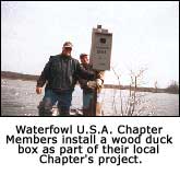 Wood Duck Box