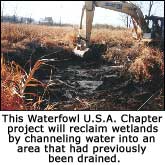 Reclaiming Wetlands