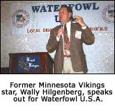 Wally Hilgenberg