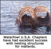 Mallard nesting structures