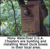 Wood duck boxes